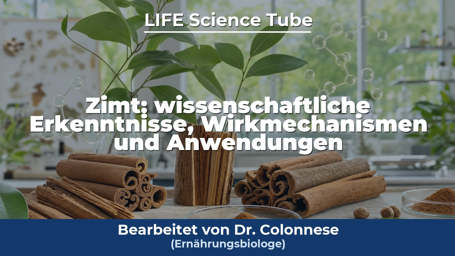 Video-Titelbild: Zimt: wissenschaftliche Erkenntnisse, Wirkmechanismen und Anwendungen für die menschliche Gesundheit