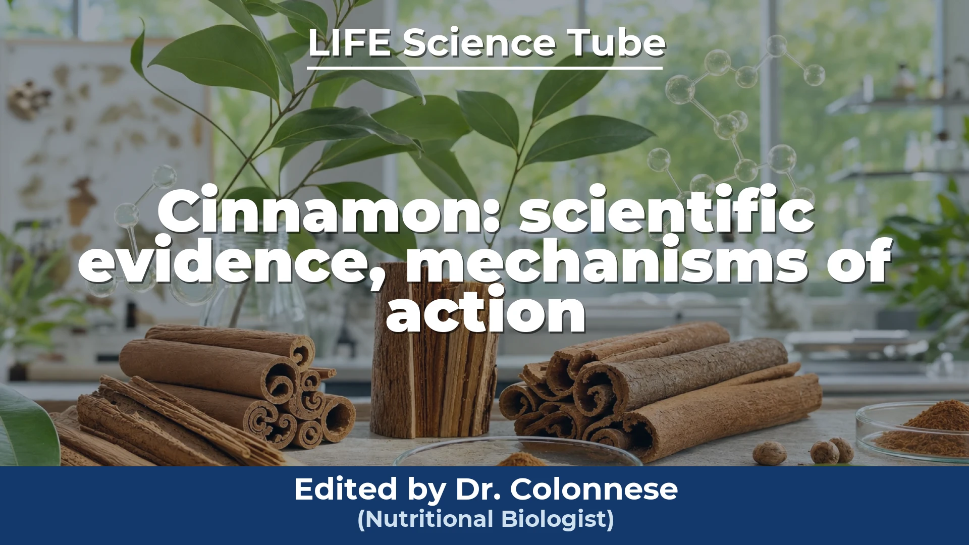 Video cover: Cinnamon: scientific evidence, mechanisms of action, and applications for human health