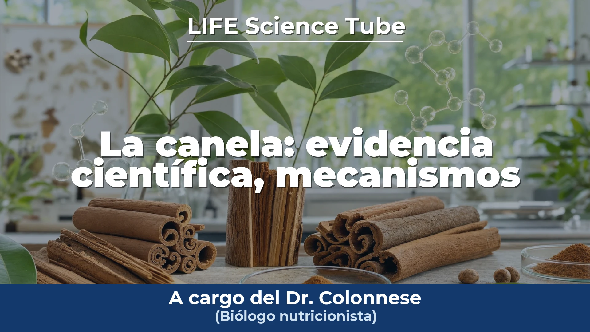 Portada del vídeo: La canela: evidencia científica, mecanismos de acción y aplicaciones para la salud humana