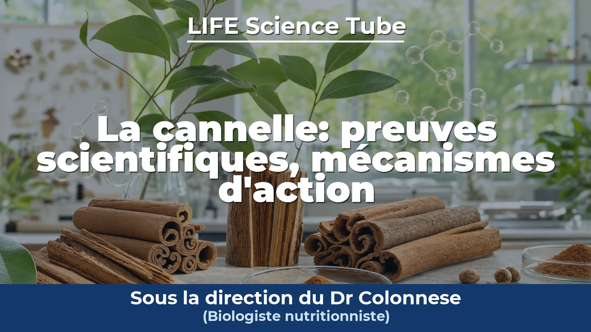 Couverture de la vidéo : La cannelle : preuves scientifiques, mécanismes d'action et applications pour la santé humaine