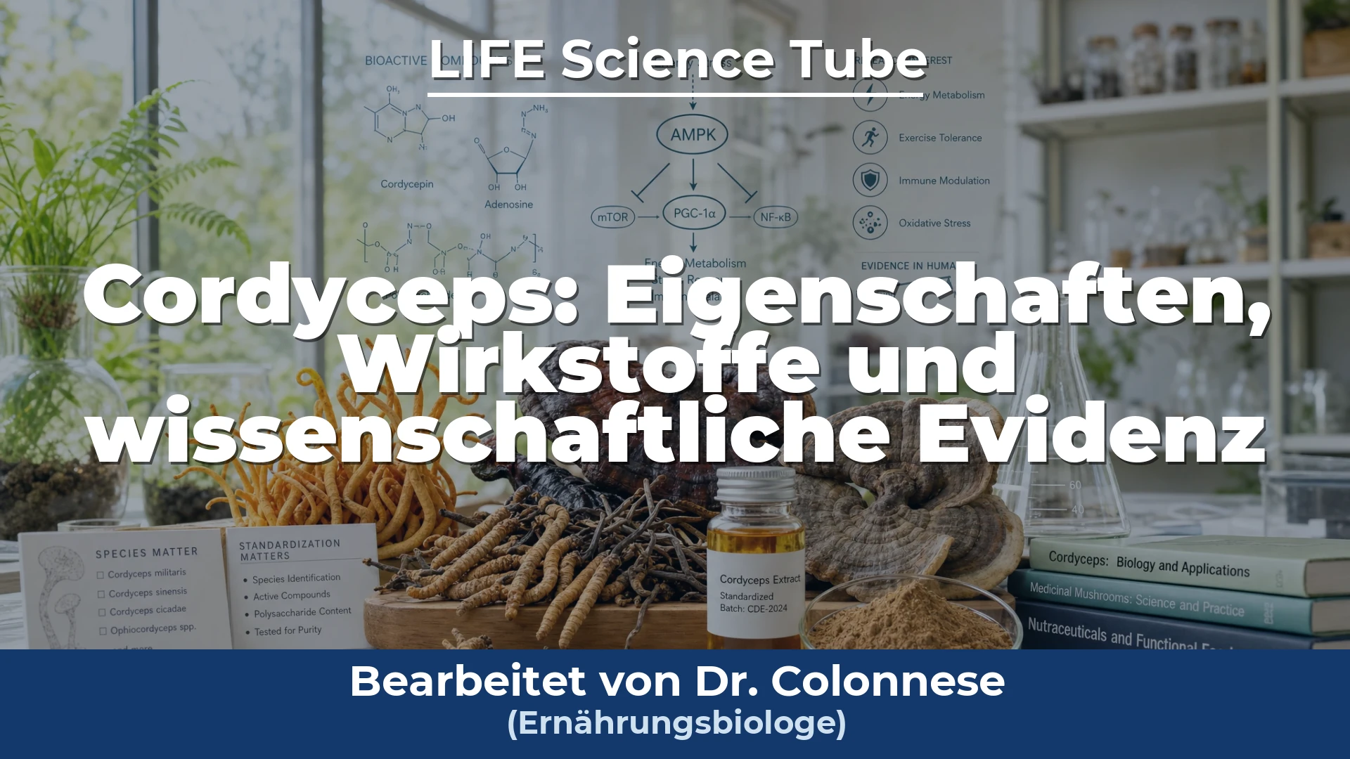 Video-Titelbild: Cordyceps: Eigenschaften, Wirkstoffe und wissenschaftliche Evidenz