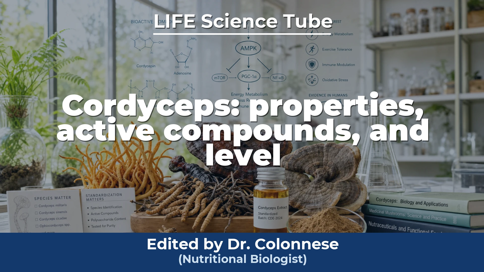 Video cover: Cordyceps: properties, active compounds, and level of scientific evidence