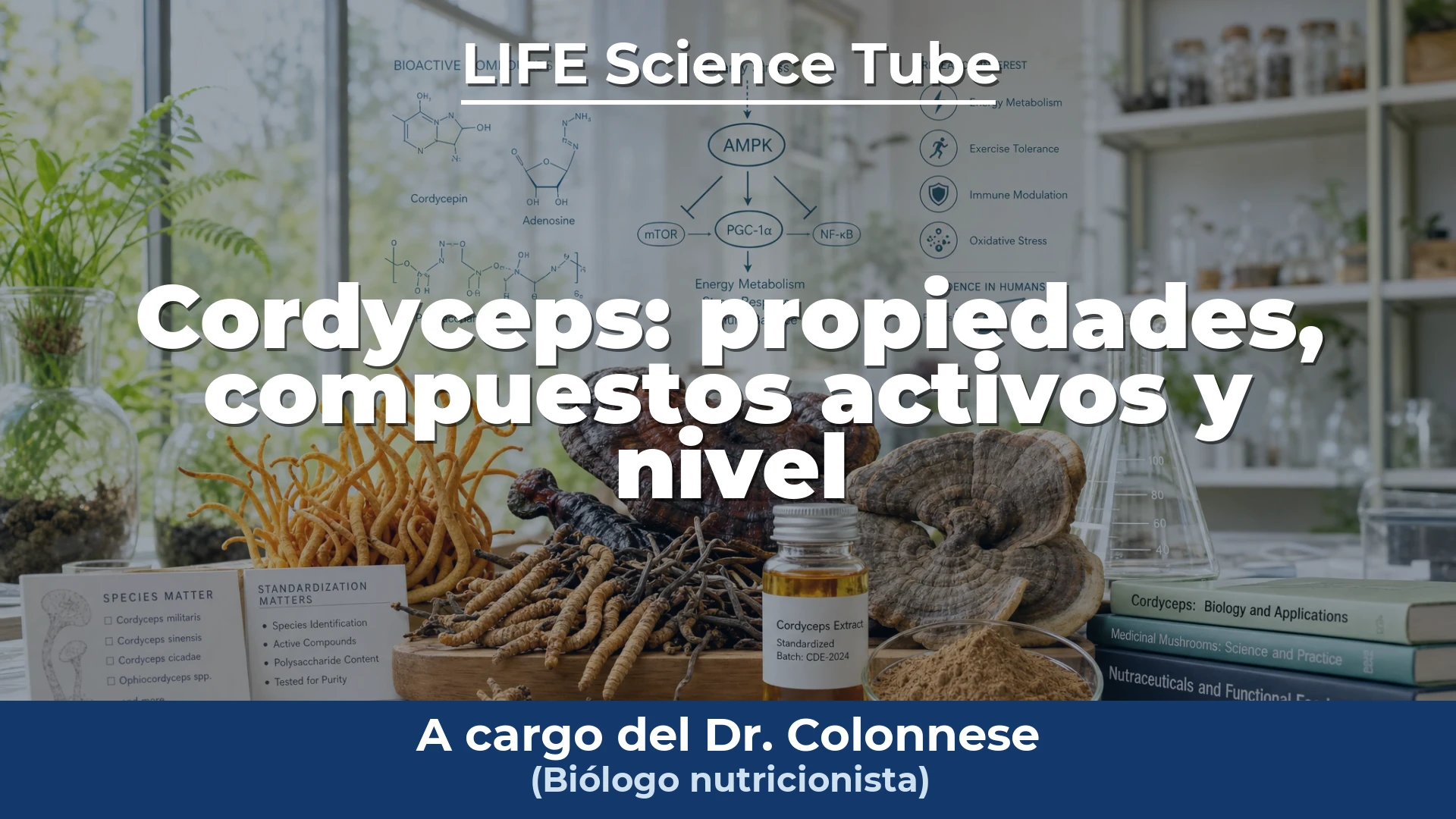 Portada del vídeo: Cordyceps: propiedades, compuestos activos y nivel de evidencia científica