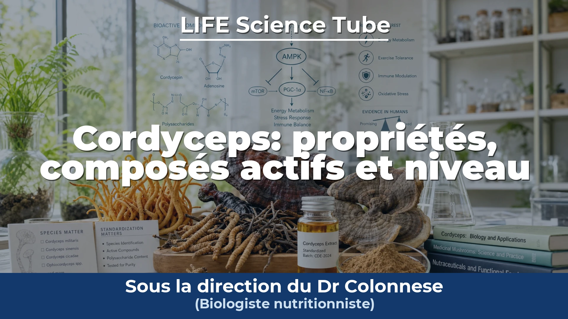 Couverture de la vidéo : Cordyceps : propriétés, composés actifs et niveau de preuve scientifique