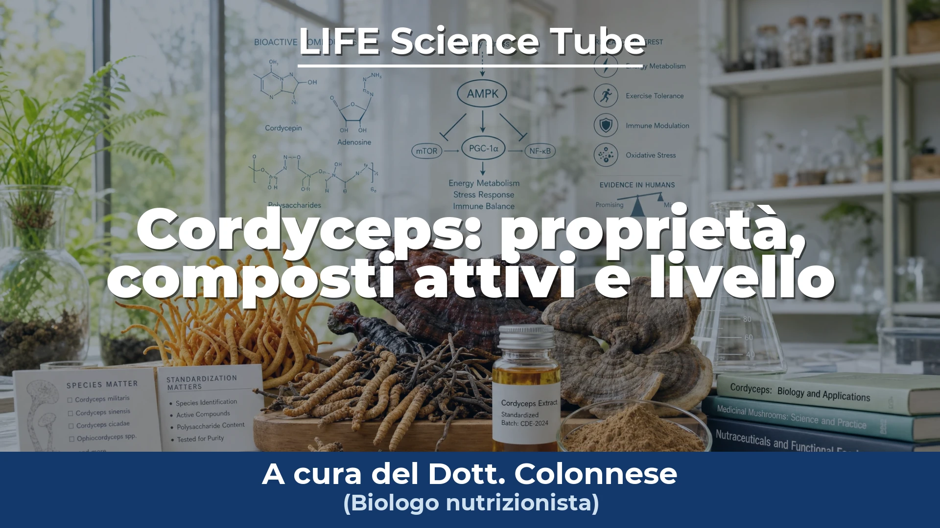 Copertina del video: Cordyceps: proprietà, composti attivi e livello di evidenza scientifica