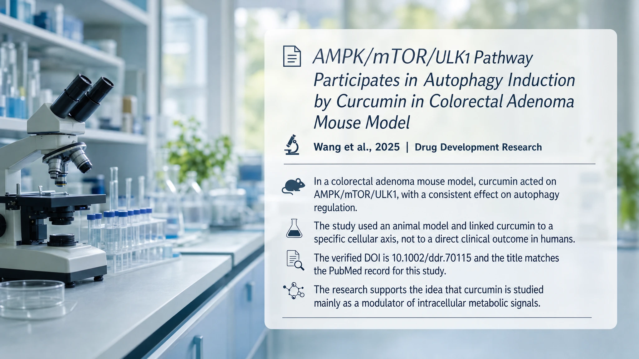 Recent research and updates: AMPK/mTOR/ULK1 Pathway Participates in Autophagy Induction by Curcumin in Colorectal Adenoma Mouse Model